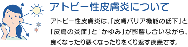 アトピー性⽪膚炎について：アトピー性⽪膚炎は、「⽪膚バリア機能の低下 」と「⽪膚の炎症」と「かゆみ」が影響し合いながら、良くなったり悪くなったりをくり返す疾患です。