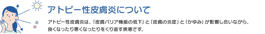 アトピー性⽪膚炎について：アトピー性⽪膚炎は、「⽪膚バリア機能の低下 」と「⽪膚の炎症」と「かゆみ」が影響し合いながら、良くなったり悪くなったりをくり返す疾患です。